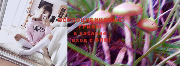 спиды Абаза