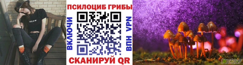 Псилоцибиновые грибы Psilocybine cubensis  Чегем 